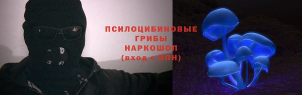 прущий лед Алзамай