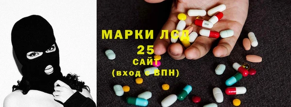 ГАЛЛЮЦИНОГЕННЫЕ ГРИБЫ Алексин