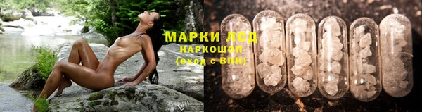 прущий лед Алзамай